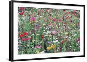 Flower Meadow-Ella Lancaster-Framed Giclee Print