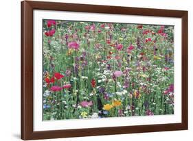 Flower Meadow-Ella Lancaster-Framed Giclee Print