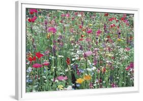 Flower Meadow-Ella Lancaster-Framed Giclee Print