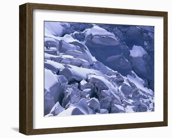 Flower Meadow-Thonig-Framed Photographic Print