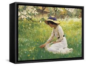 Flower Meadow-Arthur Hacker-Framed Stretched Canvas