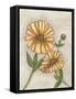 Flower Medley I-Georgina Weddell-Framed Stretched Canvas