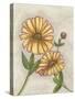 Flower Medley I-Georgina Weddell-Stretched Canvas