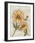 Flower Medley I-Georgina Weddell-Framed Art Print