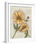 Flower Medley I-Georgina Weddell-Framed Art Print