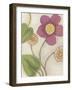 Flower Medley II-Georgina Weddell-Framed Art Print