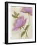 Flower Medley III-Georgina Weddell-Framed Art Print