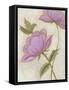 Flower Medley III-Georgina Weddell-Framed Stretched Canvas