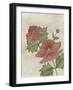 Flower Medley IV-Georgina Weddell-Framed Art Print