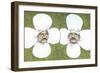 Flower Men-Jason Ratliff-Framed Giclee Print