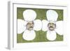 Flower Men-Jason Ratliff-Framed Giclee Print