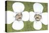 Flower Men-Jason Ratliff-Stretched Canvas