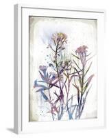 Flower Mist I-Ken Hurd-Framed Giclee Print