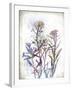 Flower Mist I-Ken Hurd-Framed Giclee Print