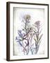 Flower Mist I-Ken Hurd-Framed Giclee Print