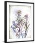 Flower Mist I-Ken Hurd-Framed Giclee Print