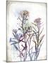 Flower Mist I-Ken Hurd-Mounted Giclee Print