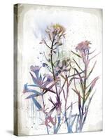 Flower Mist I-Ken Hurd-Stretched Canvas