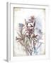 Flower Mist II-Ken Hurd-Framed Giclee Print