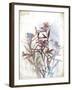 Flower Mist II-Ken Hurd-Framed Giclee Print