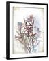 Flower Mist II-Ken Hurd-Framed Giclee Print