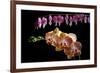 Flower mix bleeding heart and orchid hang together-Charles Bowman-Framed Photographic Print