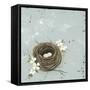 Flower Nest II-Jade Reynolds-Framed Stretched Canvas