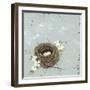 Flower Nest II-Jade Reynolds-Framed Art Print