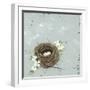 Flower Nest II-Jade Reynolds-Framed Art Print