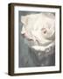 Flower of a White Rose, Texture, Composing-Alaya Gadeh-Framed Photographic Print