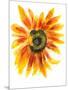 Flower of Sunflower-shoshina-Mounted Art Print