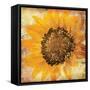 Flower Of The Fall-OnRei-Framed Stretched Canvas