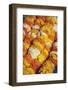 Flower Offerings at Temple, Kathmandu, Nepal, Asia-Ian Trower-Framed Photographic Print