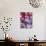 Flower Offerings for Sale at Temple of the Tooth (Sri Dalada Maligawa), Kandy, Sri Lanka-Ian Trower-Photographic Print displayed on a wall