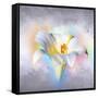 Flower On Colors 1-Ata Alishahi-Framed Stretched Canvas