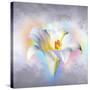 Flower On Colors 1-Ata Alishahi-Stretched Canvas