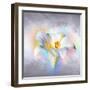 Flower On Colors 1-Ata Alishahi-Framed Giclee Print