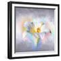 Flower On Colors 1-Ata Alishahi-Framed Giclee Print