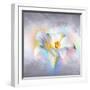 Flower On Colors 1-Ata Alishahi-Framed Giclee Print