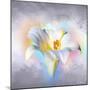 Flower On Colors 1-Ata Alishahi-Mounted Giclee Print