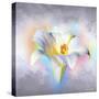 Flower On Colors 1-Ata Alishahi-Stretched Canvas