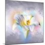 Flower On Colors 1-Ata Alishahi-Mounted Giclee Print