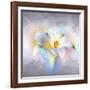 Flower On Colors 1-Ata Alishahi-Framed Giclee Print