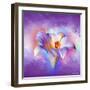 Flower On Colors 2-Ata Alishahi-Framed Giclee Print