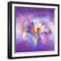 Flower On Colors 2-Ata Alishahi-Framed Giclee Print