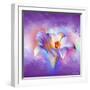 Flower On Colors 2-Ata Alishahi-Framed Giclee Print