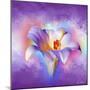 Flower On Colors 2-Ata Alishahi-Mounted Giclee Print