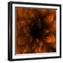 Flower Orange-Johan Lilja-Framed Premium Giclee Print