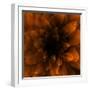 Flower Orange-Johan Lilja-Framed Premium Giclee Print
