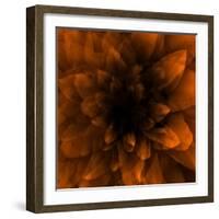 Flower Orange-Johan Lilja-Framed Giclee Print